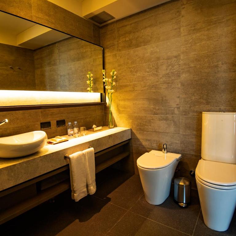 Grand Brizo La Plata - Habitación Doble - 3