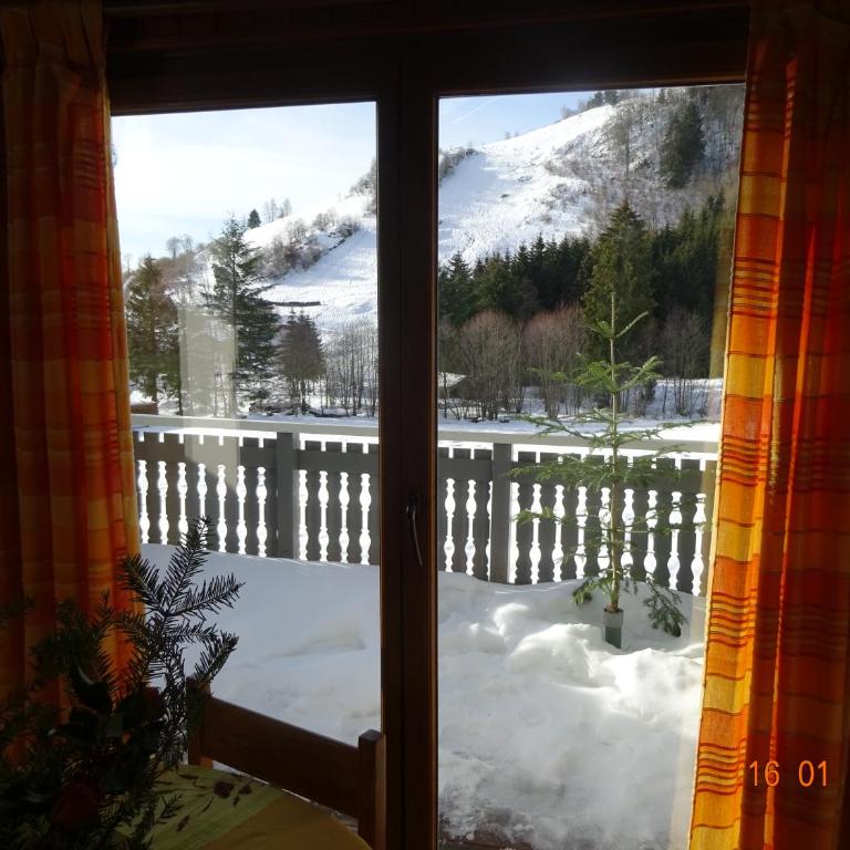 La Bresse Hautes Vosges Chalet "Le Piéna" - Chalet (2 Adultes) - 9