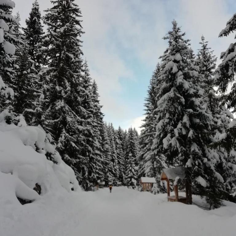 Chalet Kovačević - Three-Bedroom Vacation Home - 30