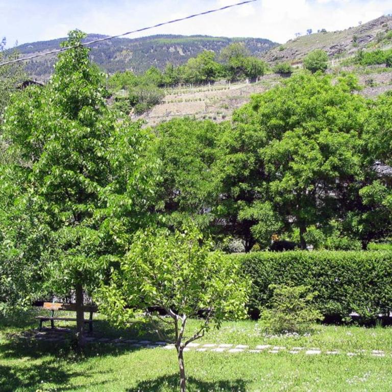 Hotel Saint Pierre - Chambre Double - Vue sur Jardin - 8