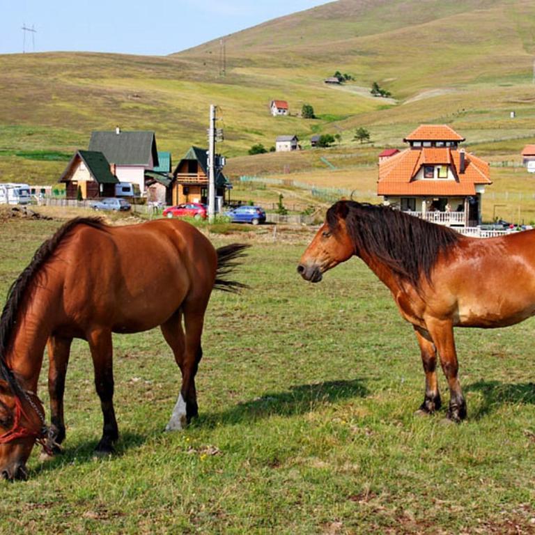 Brvnara Zlatiborka - Apartman sa 2 Spavaće Sobe - 18