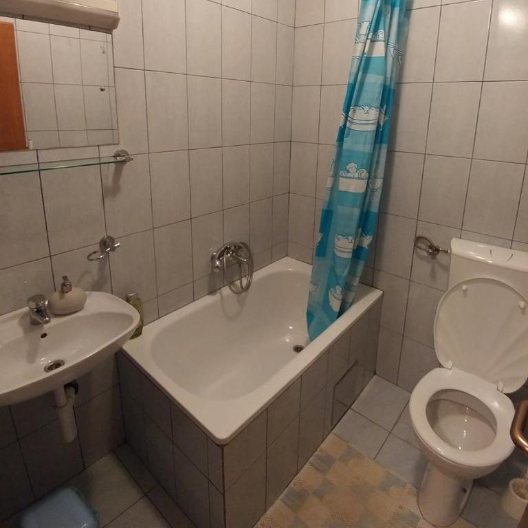 Vila San - Dvokrevetna Soba sa Bračnim Krevetom i Sopstvenim Kupatilom - 2