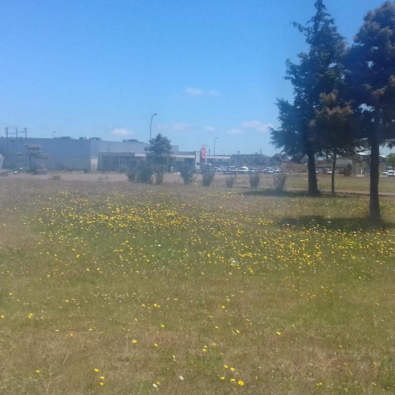 Casa Turismo Puerto Montt - Two-Bedroom House - 18