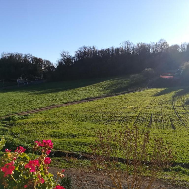 GIARDINO DI PRIMAVERA - Appartamento con 2 Camere da Letto - 36