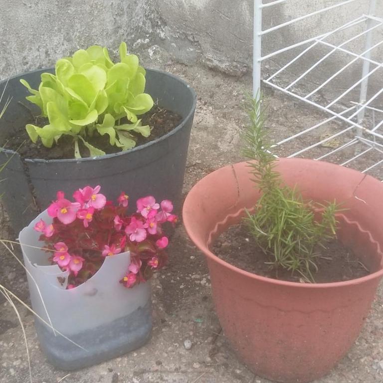 la herradura - Vacation Home - 11