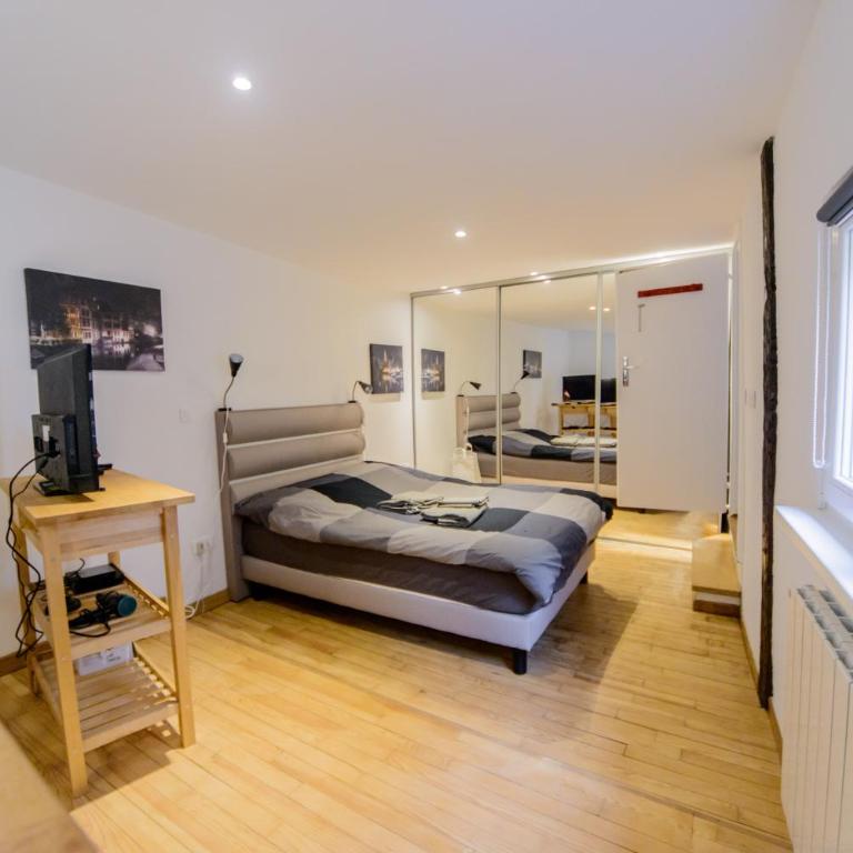 Cosy & quiet flat in historical lively center of Strasbourg - One-Bedroom Apartment - 3