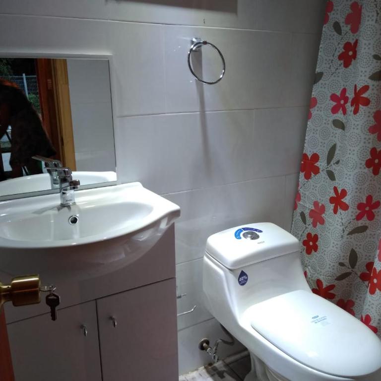 Cabañas del Lago Lican - Two-Bedroom House - 3