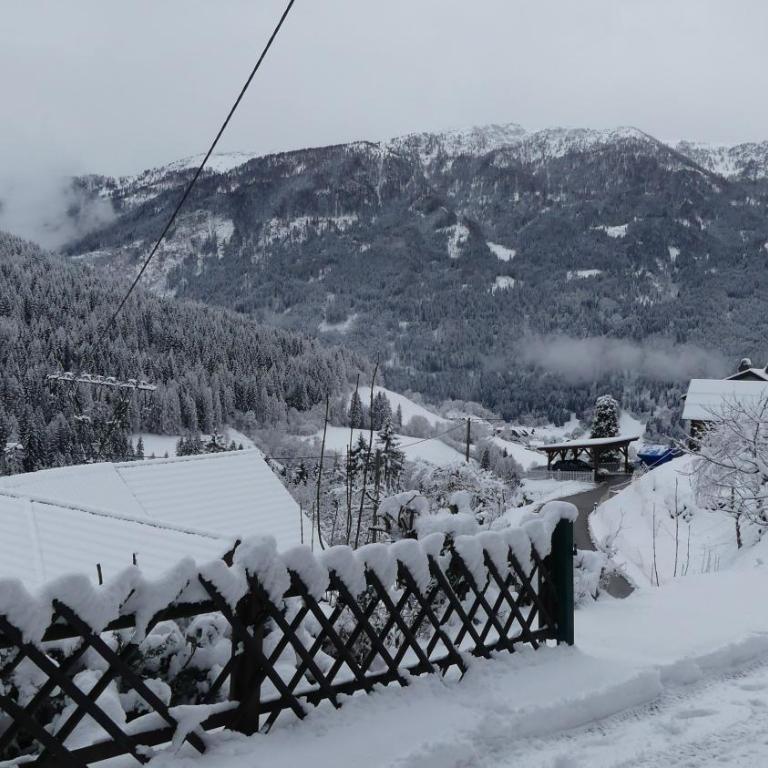 Chalet Catton Two Bedroom Appartement near Bad Kleinkirchheim - Apartment mit 2 Schlafzimmern - 16