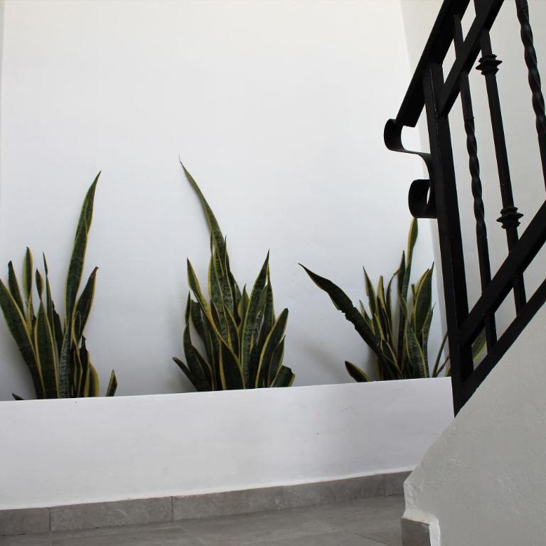 Villa Alebrije Cozumel - Apartamento - 2 niveles - 28