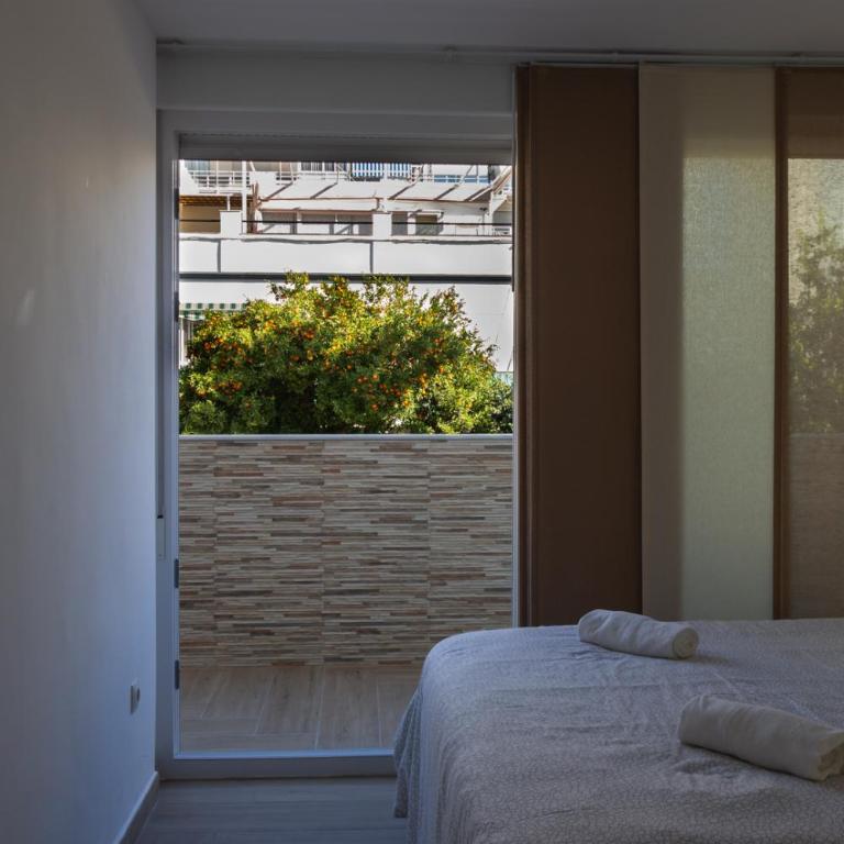 Alegranza - Apartamento - 12