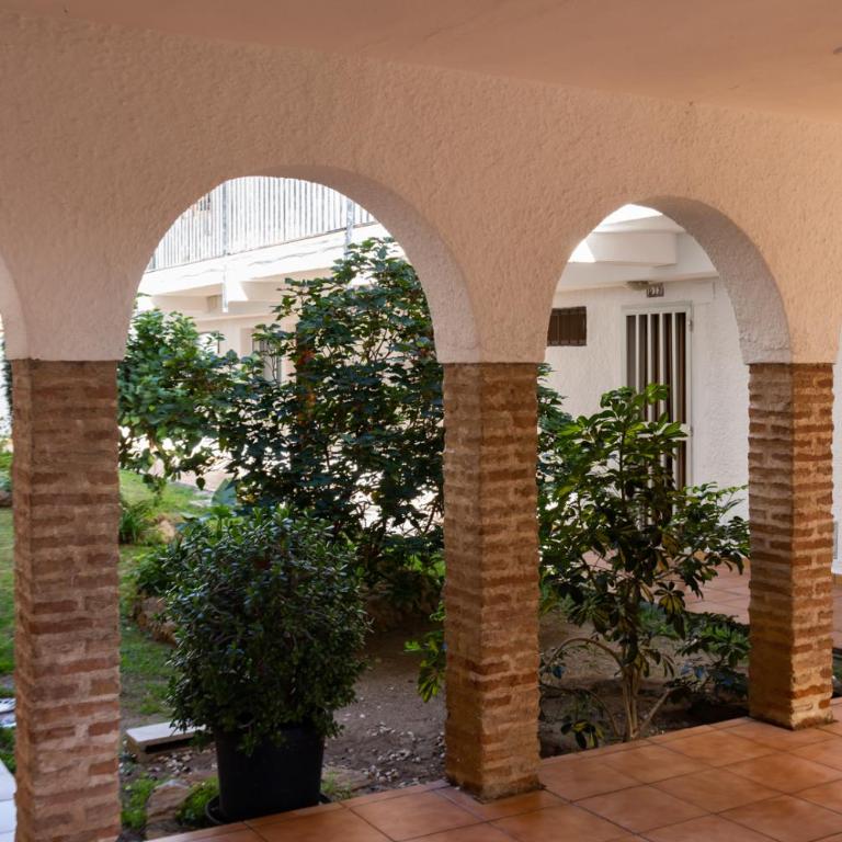 Alegranza - Apartamento - 25