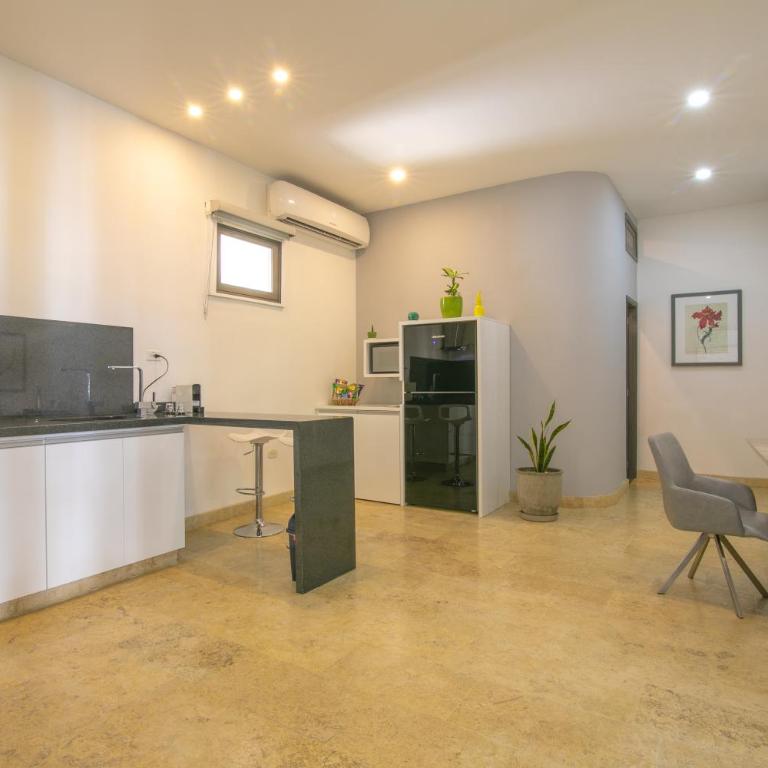 El Cactus Luxury Apartments in Historic Center - Apartamento con terraza - 6