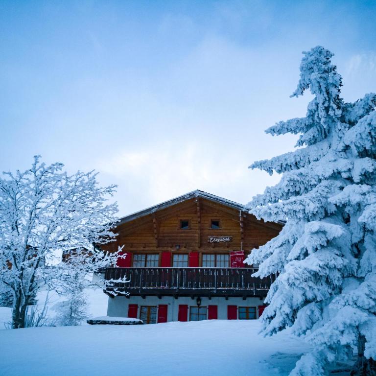 Chalet Elisabeth - Apartment mit Blick auf die Berge - 16