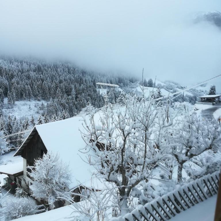 Chalet Catton Two Bedroom Appartement near Bad Kleinkirchheim - Apartment mit 2 Schlafzimmern - 17