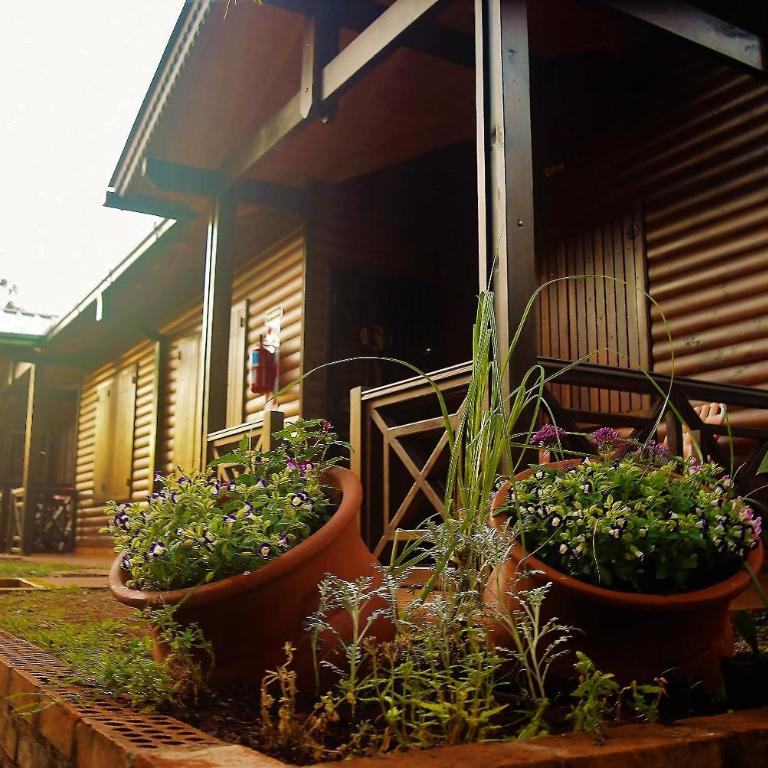 Cabañas Utty - Apartamento de 2 dormitorios - 1