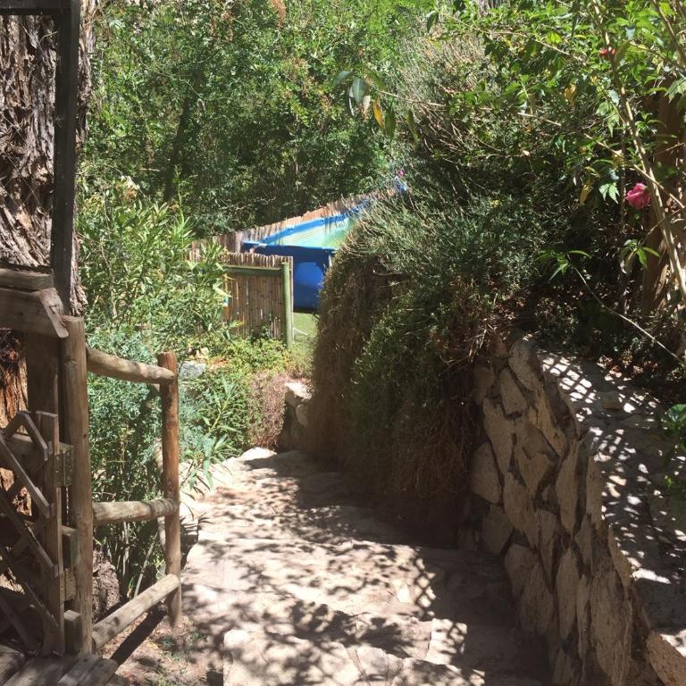 Hermosa Casa Pisco Elqui - Casa de 3 dormitorios - 3