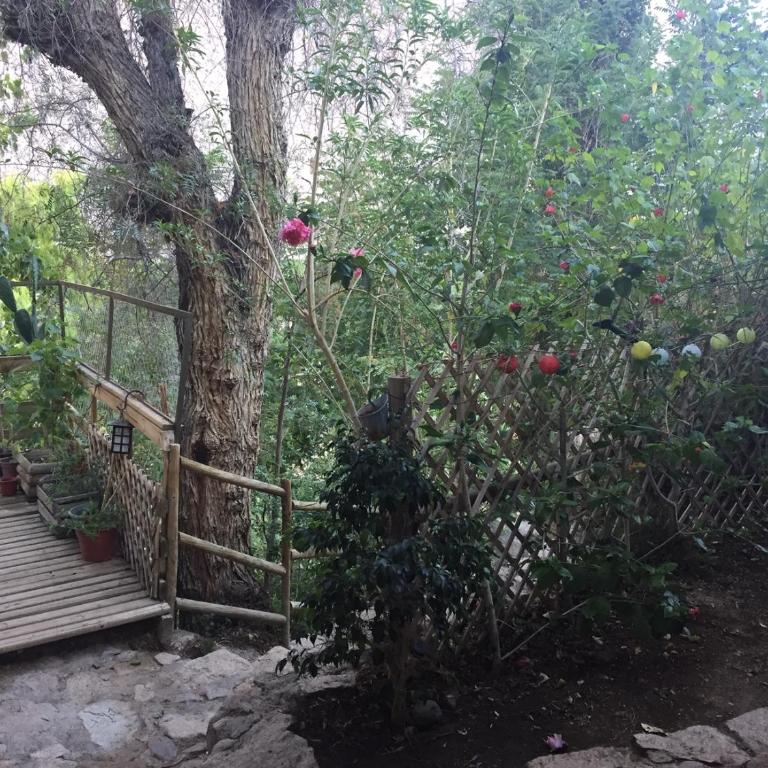 Hermosa Casa Pisco Elqui - Casa de 3 dormitorios - 13
