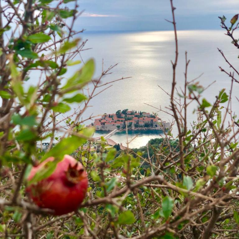 Sveti Stefan Beach Apartment - Apartman - 34