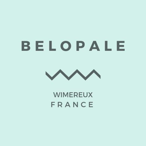 Belopale @ Résidence La Belle Epoque - Studio Apartment - 7