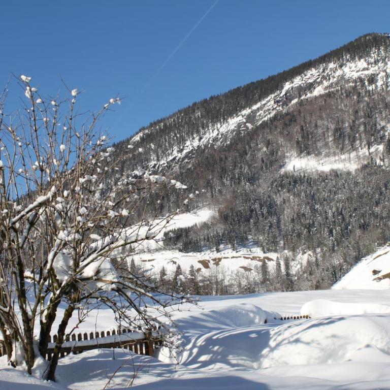 Haus Bergheim - Apartment - 27