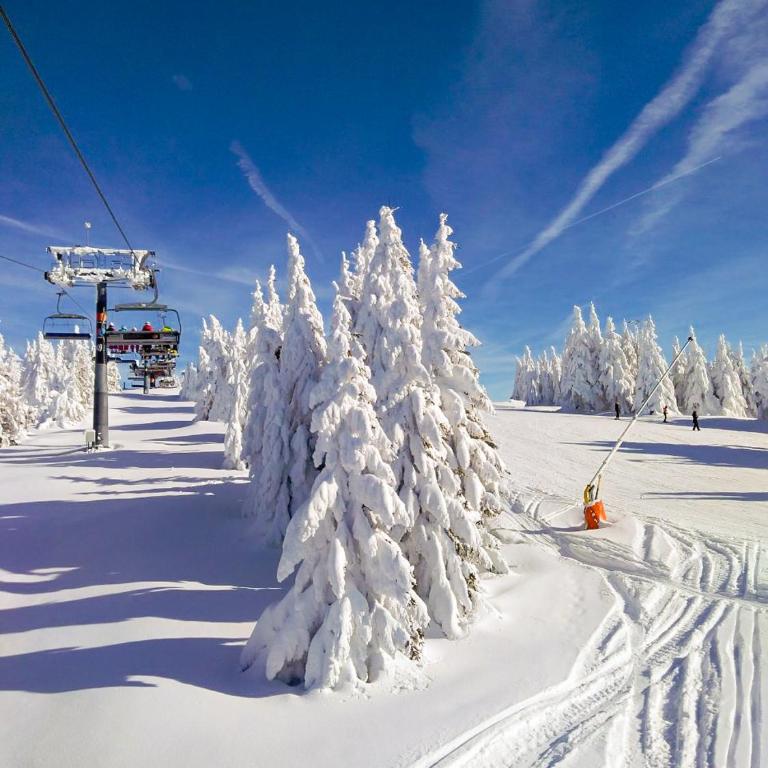 Ski&Spa Milmari L17 - Apartment with Mountain View - 73