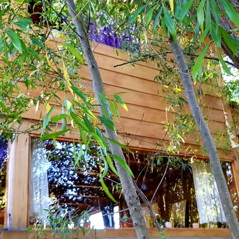 India Cabaña - One-Bedroom House - 9