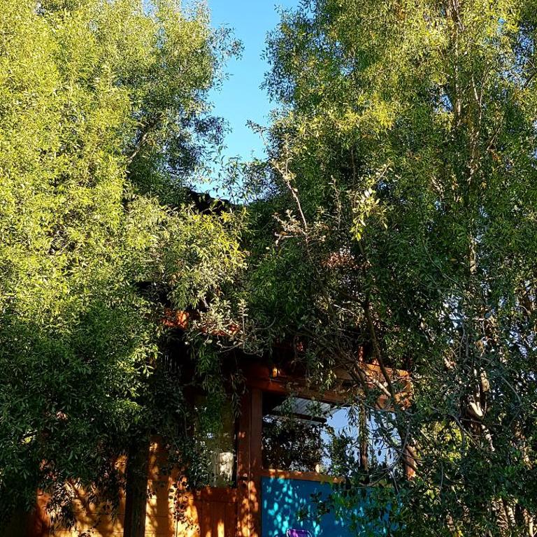 India Cabaña - One-Bedroom House - 5