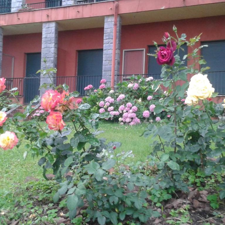 Balcone sul Tigullio - Appartamento - 7
