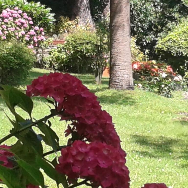Balcone sul Tigullio - Appartamento - 5