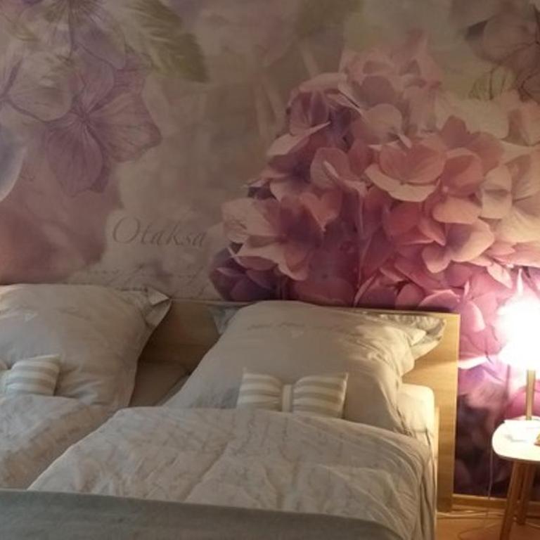 Wohnung im Dreistädteeck - Appartement - 1