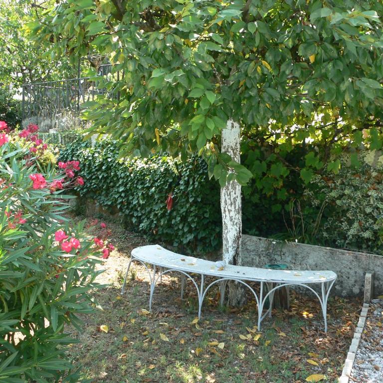 La Quiétude - Studio avec Terrasse - 14