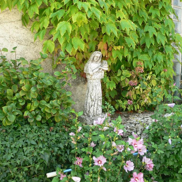 La Quiétude - Studio avec Terrasse - 15