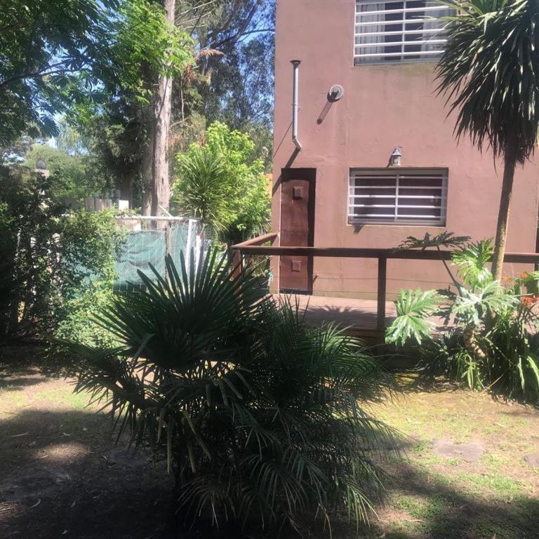 Los 3 Gringos Casa Bosque P Ramos - Vacation Home - 20