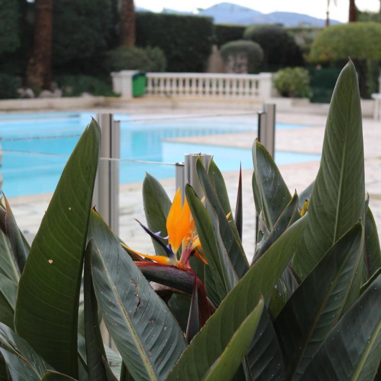 Appartement Palm d'Azur - Studio - Vue sur Mer - 11
