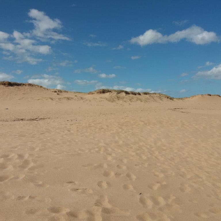 Aroma de mar casas en alquiler vacacional con hermosa piscina - Bungalow with Sea View - 18