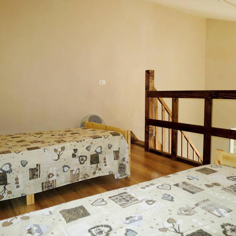 Podere Sant'Antonio - Appartamento Standard - 1