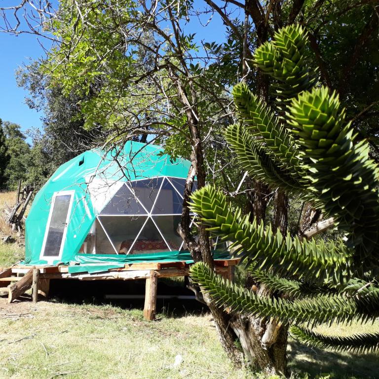 El Cipresal - Domo Fiofio - Tent - 1