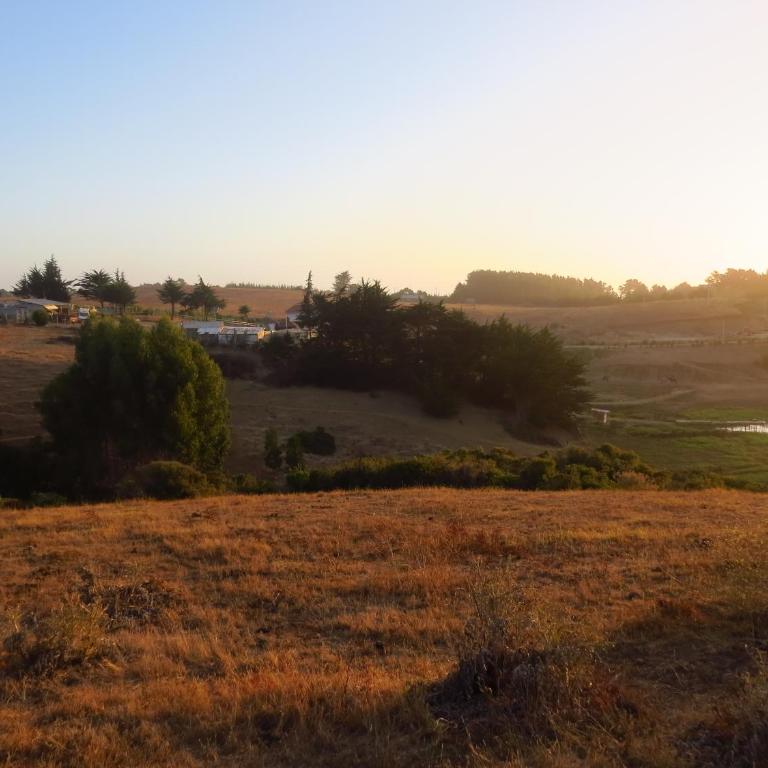 Punta Sal Pichilemu - Apartamento de 1 dormitorio - 26