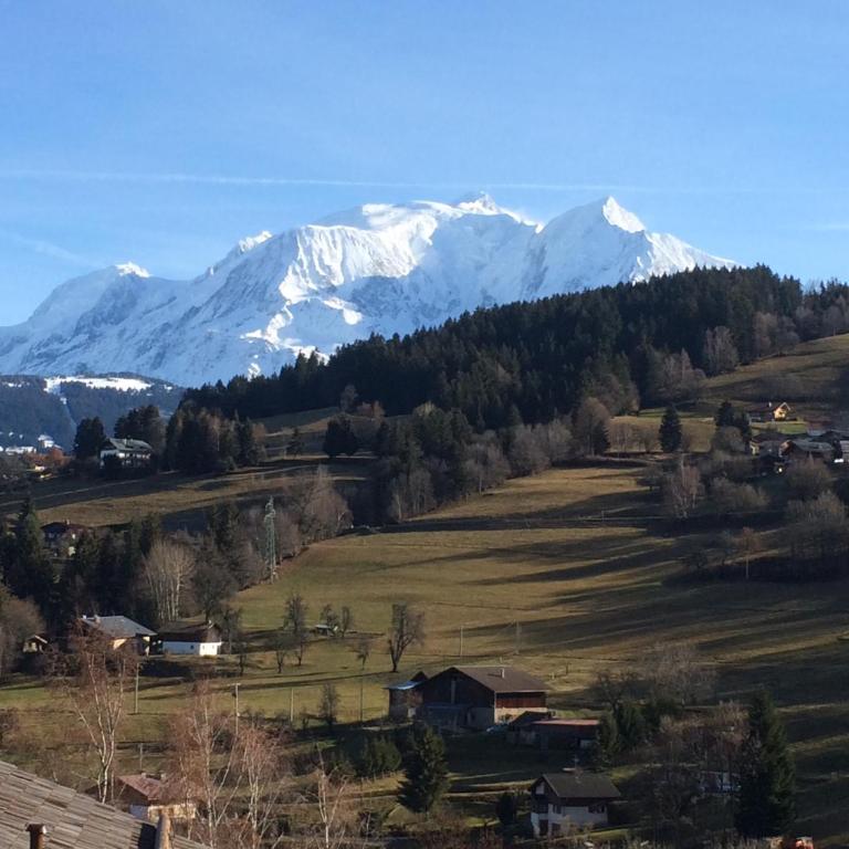Luxury 2 Bedroom Apartment with view of Mont Blanc - Appartement avec Vue sur la Montagne - 8
