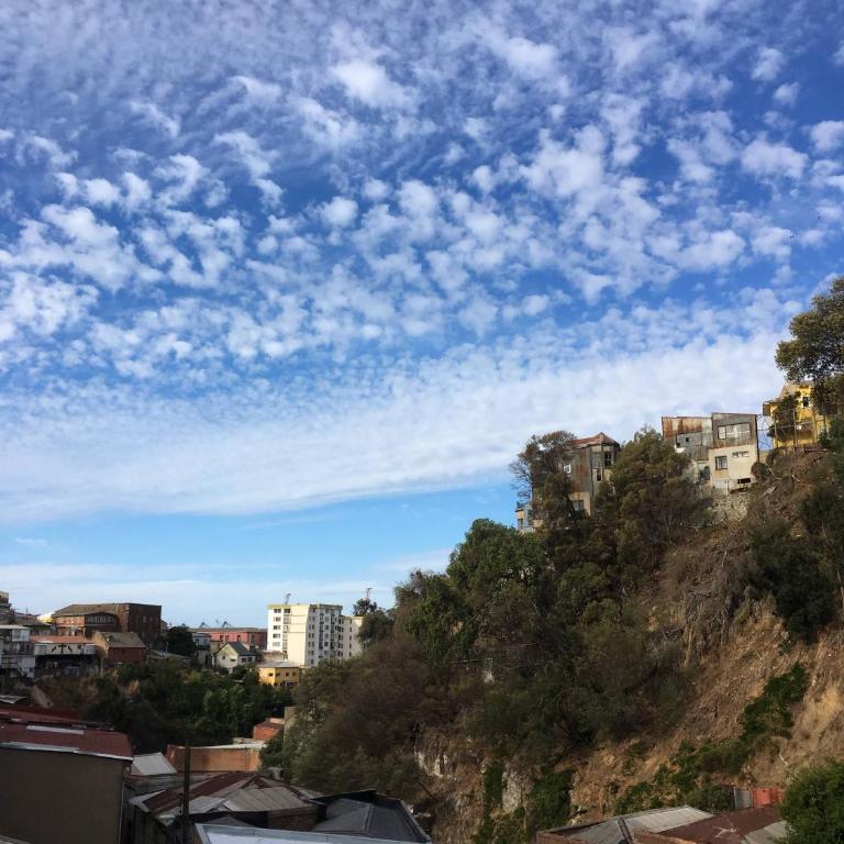 Selva Hospedaje - Habitación Doble - 1 o 2 camas - 4