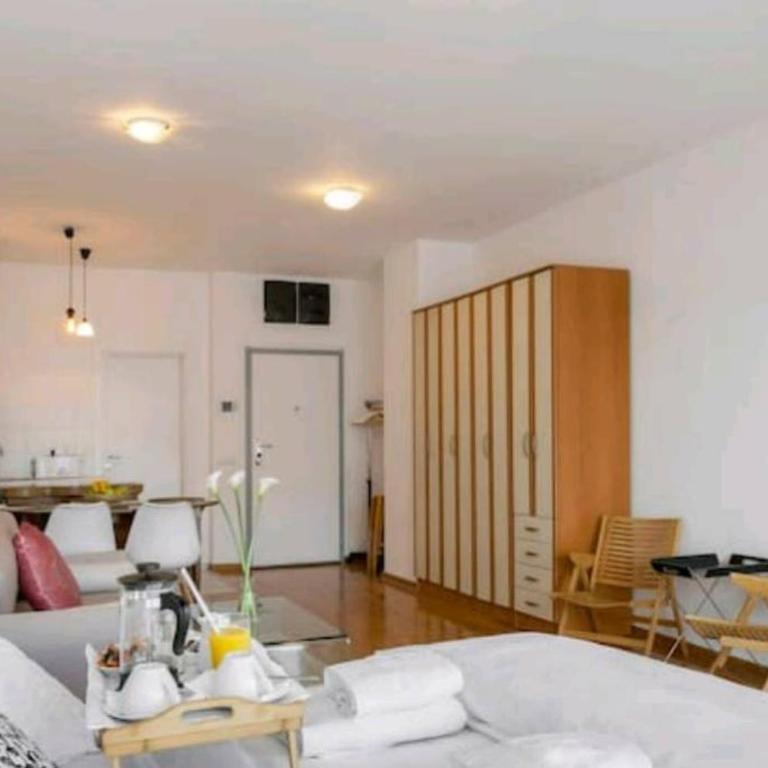 Danube Pearl - Apartman sa 1 Spavaćom Sobom - 10