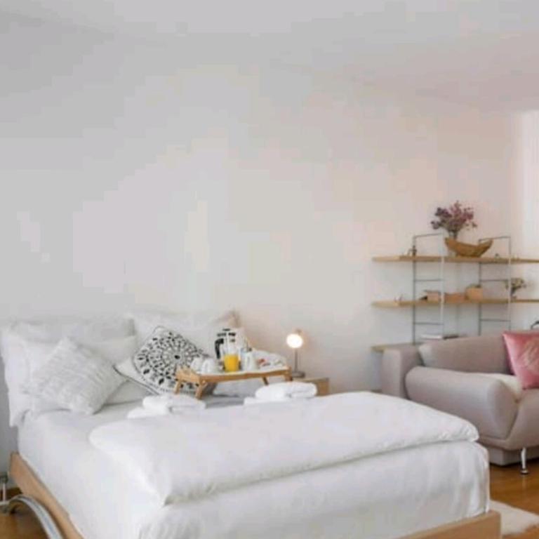 Danube Pearl - Apartman sa 1 Spavaćom Sobom - 11