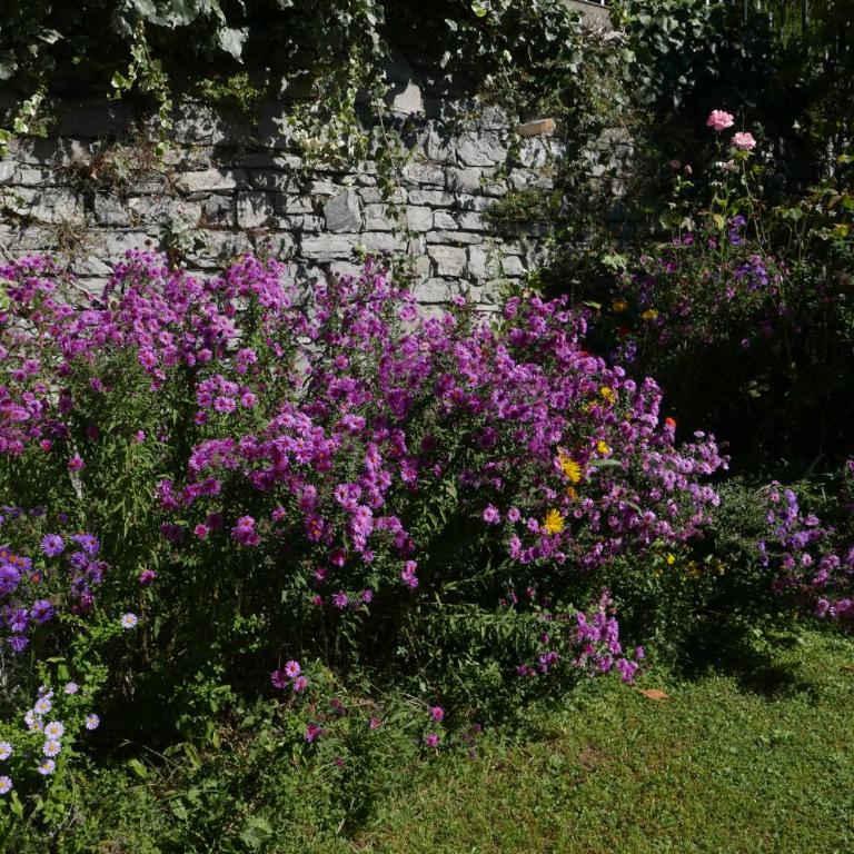 La casa degli oleandri - Ferienhaus - 7