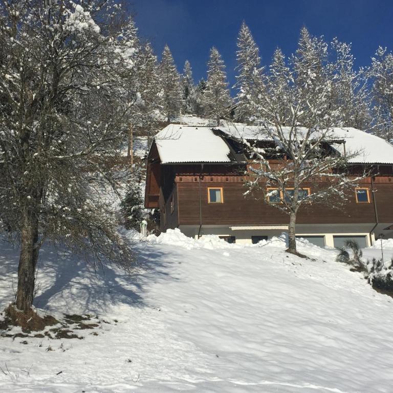 Appartement VIDMAR-WINTERTRAUM - Apartment mit Balkon - 1