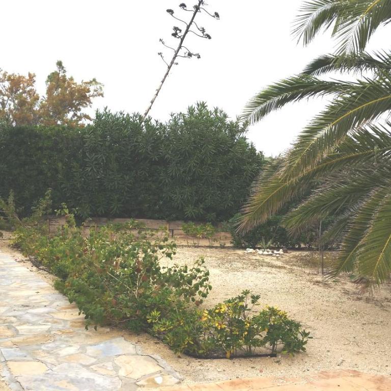 Residencial Olival-Acceso privado playa por jardín - Casa Unifamiliar de 3 dormitorios - 38