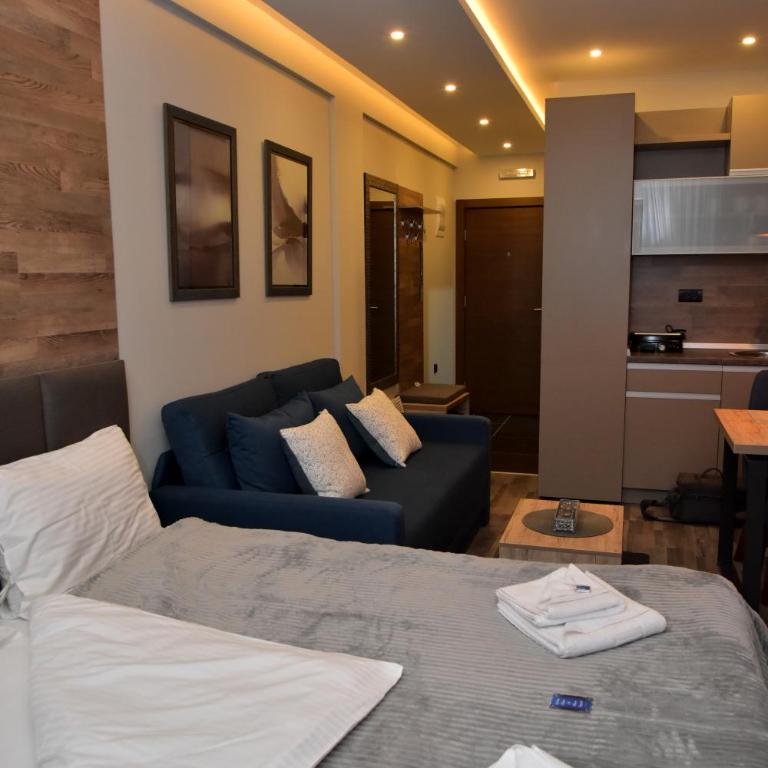 Apartman Sladjana Premier 12 Milmari - Studio Apartment - 30