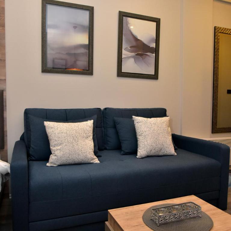 Apartman Sladjana Premier 12 Milmari - Studio Apartment - 28