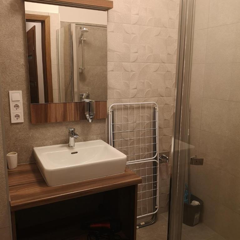 Schneekristall - Apartment mit 1 Schlafzimmer - 8