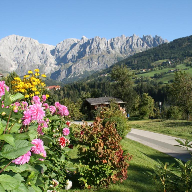 Apartments Huber Hochkönig - Apartment mit 1 Schlafzimmer, Balkon und Bergblick - 11