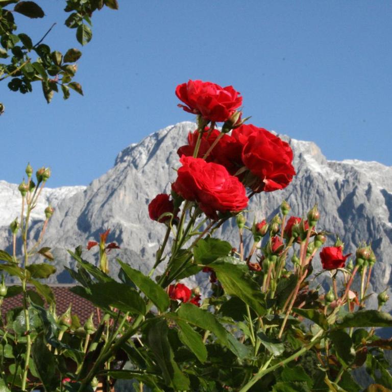 Apartments Huber Hochkönig - Apartment mit Aussicht und Balkon - 25